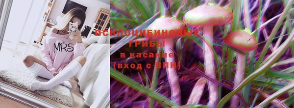 MESCALINE Аркадак
